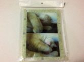 Case Personalizada Ipad 2 e 3 (imagem ilustrativa)